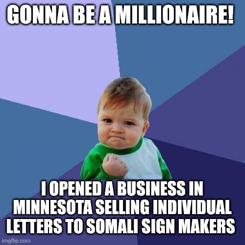 Success Kid | GONNA BE A MILLIONAIRE! I OPENED A BUSINESS IN MINNESOTA SELLING INDIVIDUAL LETTERS TO SOMALI SIGN MAKERS | image tagged in memes,success kid | made w/ Imgflip meme maker