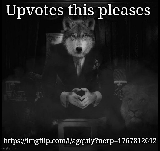Wolf on a chair | Upvotes this pleases; https://imgflip.com/i/agquiy?nerp=1767812612 | image tagged in wolf on a chair | made w/ Imgflip meme maker