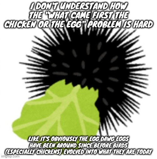 Illustration of a sea urchin eating cabbage | I DON'T UNDERSTAND HOW THE "WHAT CAME FIRST THE CHICKEN OR THE EGG" PROBLEM IS HARD; LIKE IT'S OBVIOUSLY THE EGG DAWG EGGS HAVE BEEN AROUND SINCE BEFORE BIRDS (ESPECIALLY CHICKENS) EVOLVED INTO WHAT THEY ARE TODAY | image tagged in illustration of a sea urchin eating cabbage | made w/ Imgflip meme maker