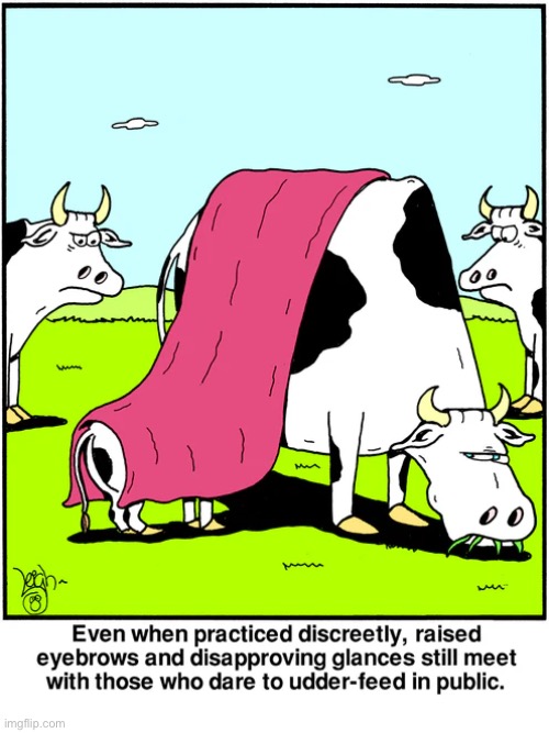 Rubes | image tagged in comics,rubes,cows,breastfeeding,covered up,shaming | made w/ Imgflip meme maker