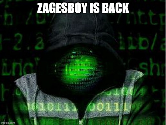 Zagesboy Is back | ZAGESBOY IS BACK | image tagged in green hacker | made w/ Imgflip meme maker