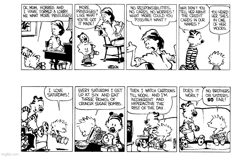image tagged in calvin and hobbes,comics | made w/ Imgflip meme maker