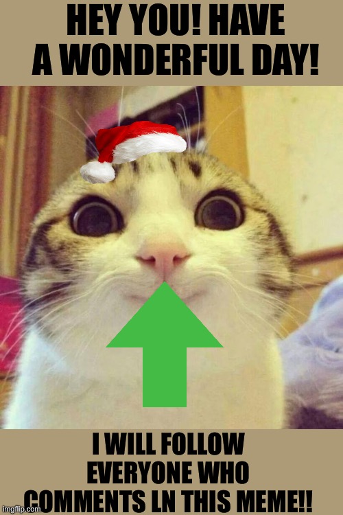 COMMENT NOW!!! | HEY YOU! HAVE A WONDERFUL DAY! I WILL FOLLOW EVERYONE WHO COMMENTS LN THIS MEME!! | image tagged in memes,smiling cat | made w/ Imgflip meme maker