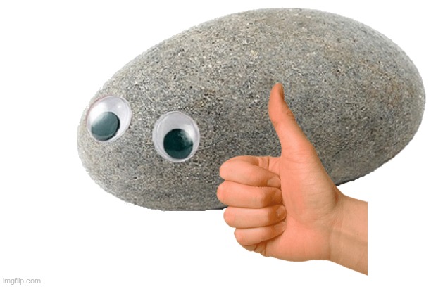 image tagged in pet rock | made w/ Imgflip meme maker