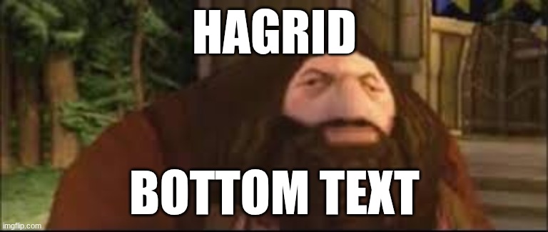 hagrid | HAGRID; BOTTOM TEXT | image tagged in hagrid | made w/ Imgflip meme maker