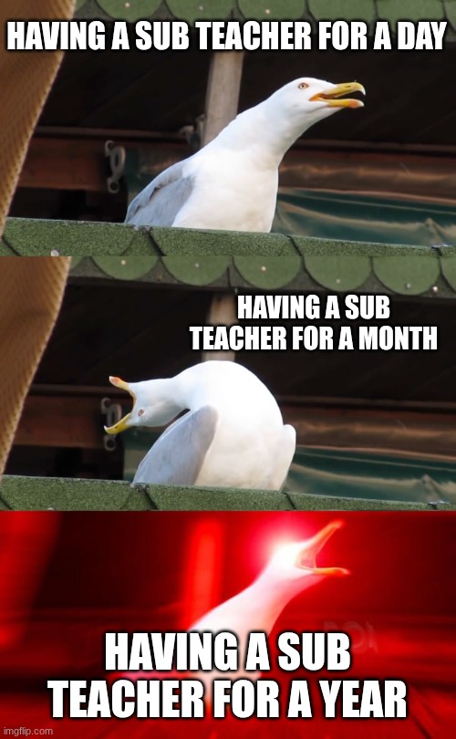 Inhaling seagull | HAVING A SUB TEACHER FOR A DAY; HAVING A SUB TEACHER FOR A MONTH; HAVING A SUB TEACHER FOR A YEAR | image tagged in inhaling seagull | made w/ Imgflip meme maker