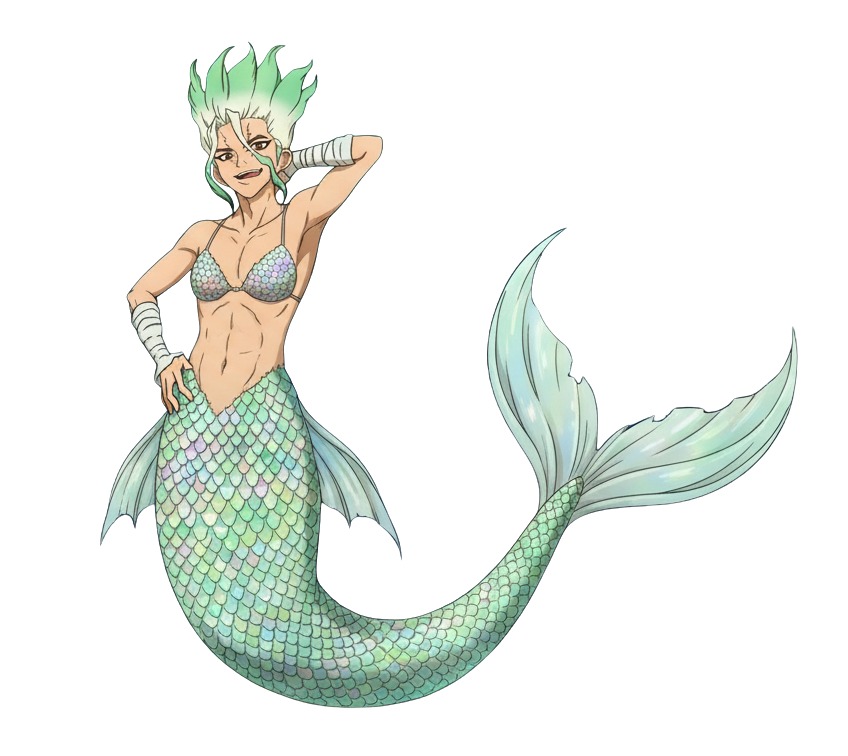 Mermaid Senku Blank Meme Template