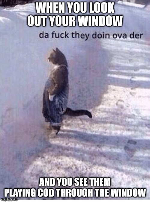 Da fuq they doing over there | WHEN YOU LOOK OUT YOUR WINDOW; AND YOU SEE THEM PLAYING COD THROUGH THE WINDOW | image tagged in da fuq they doing over there | made w/ Imgflip meme maker