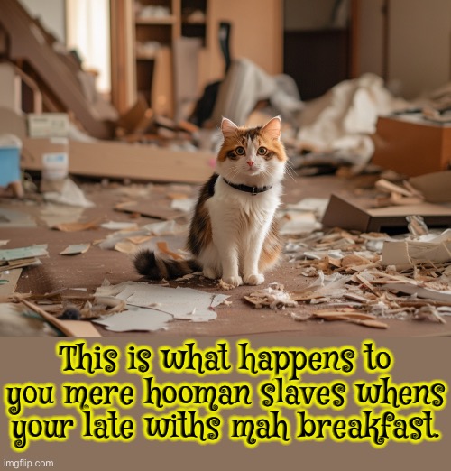 Late With Mah Breakfast | This is what happens to you mere hooman slaves whens your late withs mah breakfast. | image tagged in cats,funny cats,late,revenge,breakfast,punisher | made w/ Imgflip meme maker