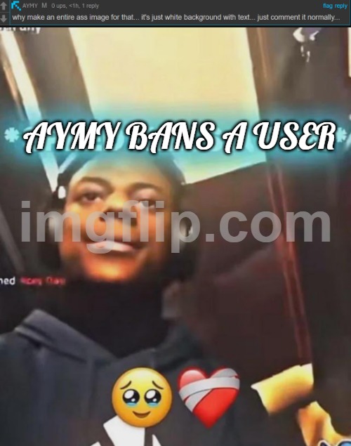 >comment bans me  >tells me to comment something  >W AYMY | AYMY BANS A USER | image tagged in speed kills a fan | made w/ Imgflip meme maker