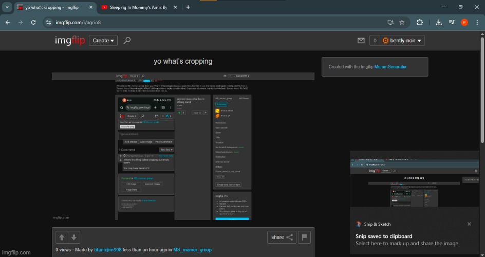 cropping? never heard of her | made w/ Imgflip meme maker