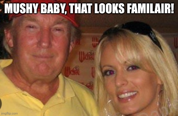 Side chick | MUSHY BABY, THAT LOOKS FAMILAIR! | image tagged in side chick | made w/ Imgflip meme maker