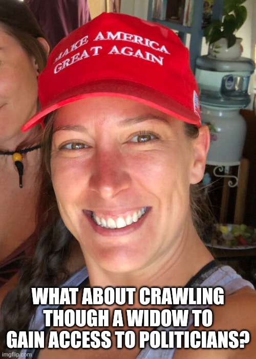 WHAT ABOUT CRAWLING THOUGH A WIDOW TO GAIN ACCESS TO POLITICIANS? | image tagged in ashli babbitt | made w/ Imgflip meme maker