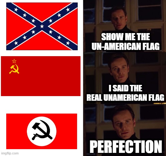 NAZBOL GANG | SHOW ME THE UN-AMERICAN FLAG; I SAID THE REAL UNAMERICAN FLAG; PERFECTION | image tagged in perfection,nazbol,communists,rebel flag,sovet union | made w/ Imgflip meme maker