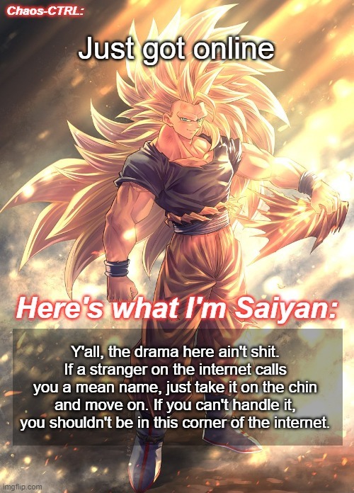 Chaos-CTRL Goku | Just got online; Y'all, the drama here ain't shit. If a stranger on the internet calls you a mean name, just take it on the chin and move on. If you can't handle it, you shouldn't be in this corner of the internet. | image tagged in chaos-ctrl goku | made w/ Imgflip meme maker