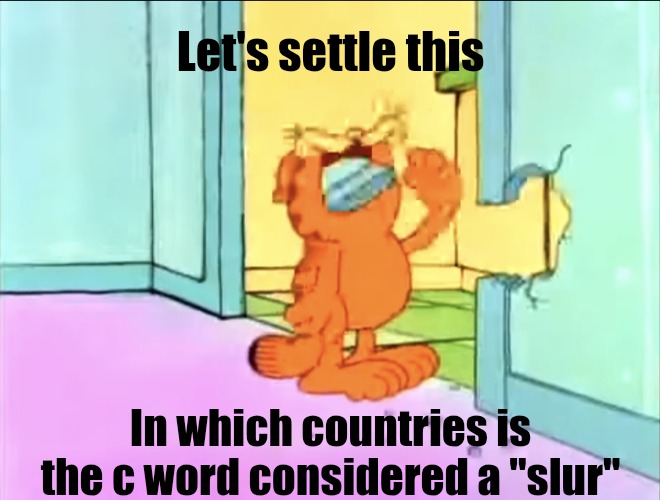 Garfield drywall | Let's settle this; In which countries is the c word considered a "slur" | image tagged in garfield drywall | made w/ Imgflip meme maker