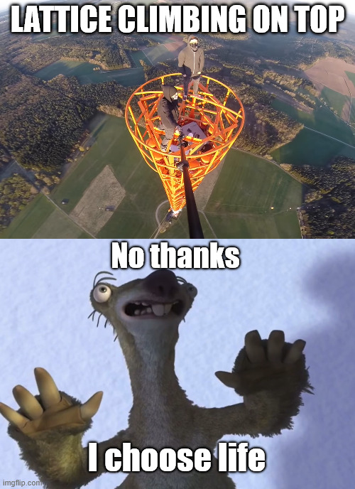 No thanks, i choose life. | LATTICE CLIMBING ON TOP; No thanks; I choose life | image tagged in ice age,lattice climbing,sid,nostalgia,memes,latticeclimbing | made w/ Imgflip meme maker