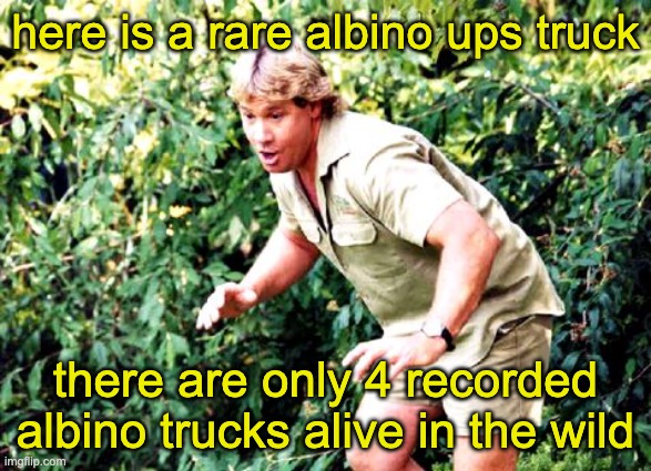 Crocodile Hunter Steve Irwin | here is a rare albino ups truck there are only 4 recorded albino trucks alive in the wild | image tagged in crocodile hunter steve irwin | made w/ Imgflip meme maker