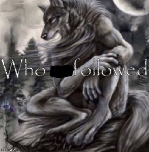 who followed | image tagged in who followed | made w/ Imgflip meme maker