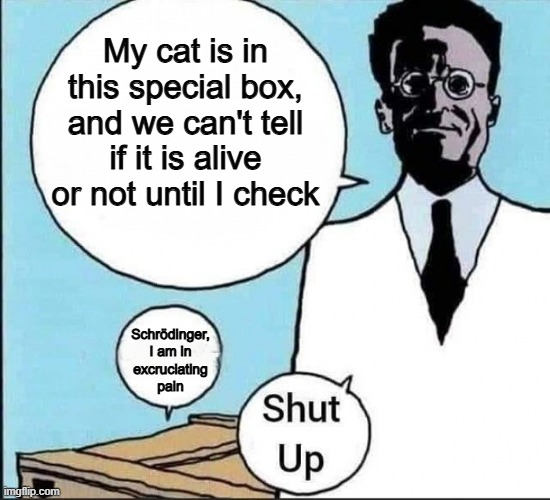 Is Schrödinger's cat alive? | My cat is in this special box, and we can't tell if it is alive or not until I check; Schrödinger, I am in excruciating pain | image tagged in schr dinger's cat | made w/ Imgflip meme maker