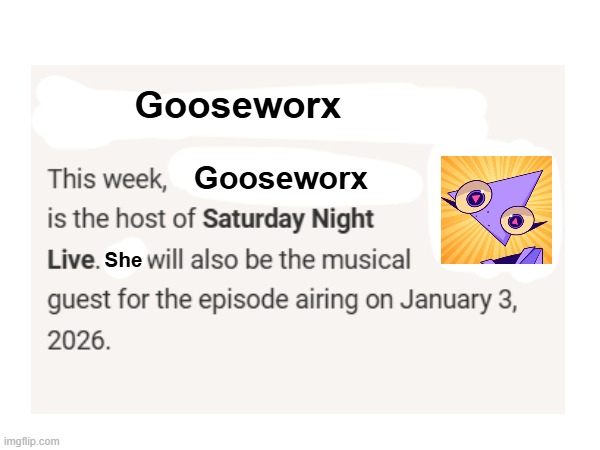 N O  W A Y | Gooseworx; Gooseworx; She | image tagged in gooseworx,snl,saturday night live | made w/ Imgflip meme maker