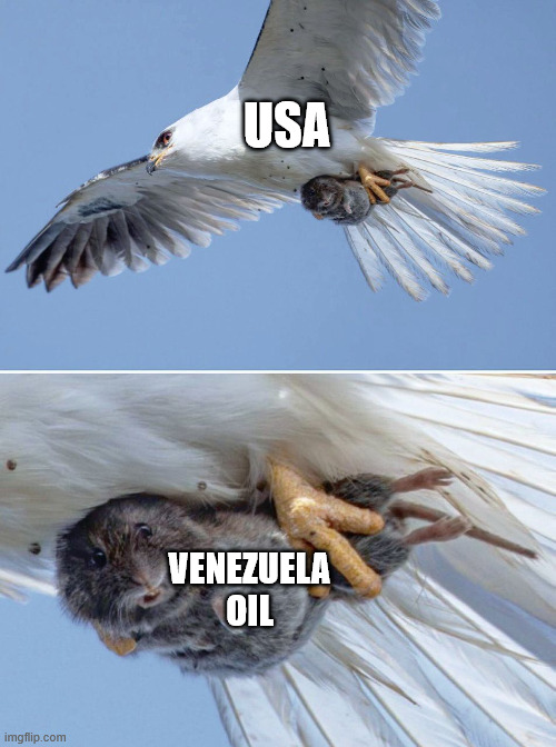How crude | USA; VENEZUELA
OIL | image tagged in small animal caught by a predator,oil,political meme,usa,venezuela | made w/ Imgflip meme maker