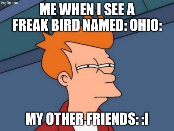 When you see something WEEIRRRDDD | ME WHEN I SEE A FREAK BIRD NAMED: OHIO:; MY OTHER FRIENDS: :I | image tagged in memes,futurama fry | made w/ Imgflip meme maker