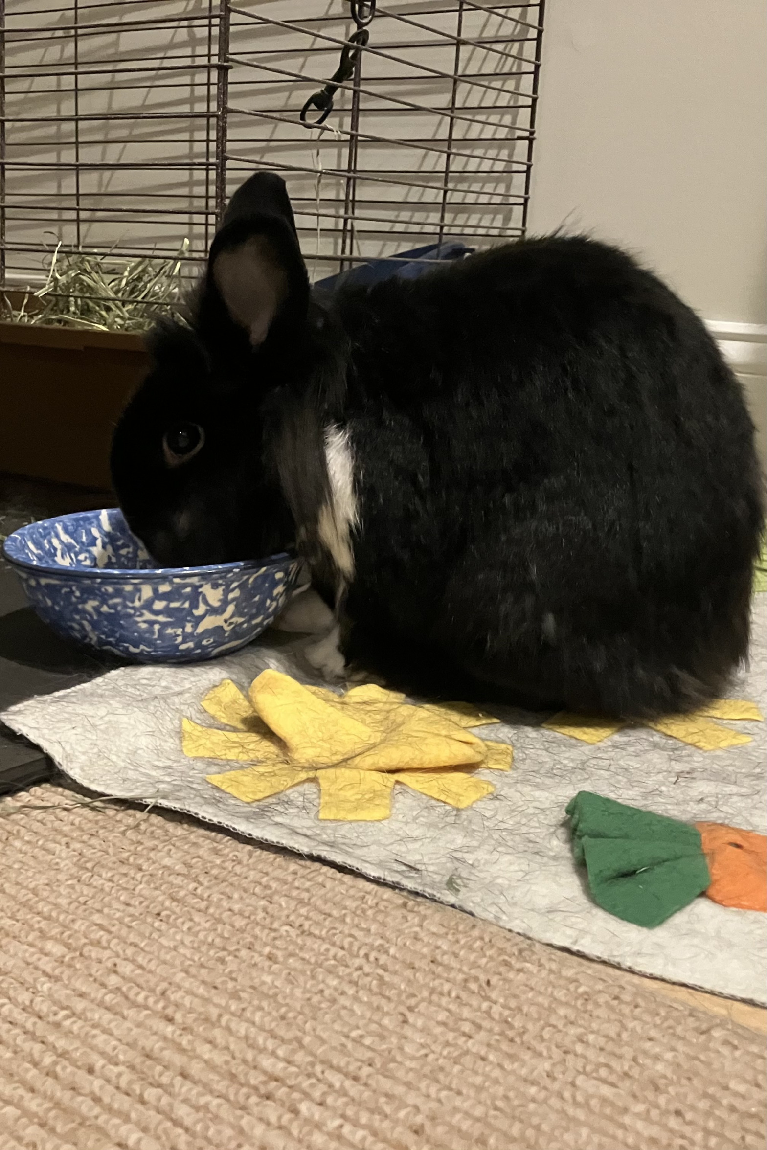 F off I’m reading Blank Meme Template