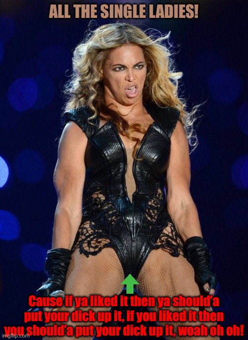 Beyouncy | ALL THE SINGLE LADIES! Cause if ya liked it then ya should’a put your dick up it, if you liked it then you should’a put your dick up it, woah oh oh! | image tagged in beyonce | made w/ Imgflip meme maker