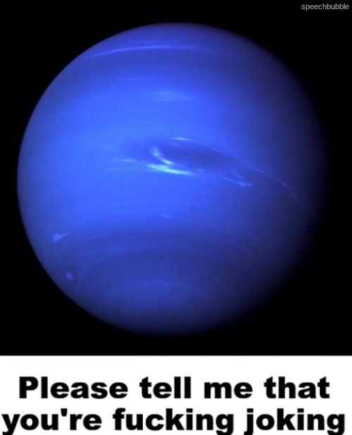 image tagged in please tell me that you're fucking joking | made w/ Imgflip meme maker