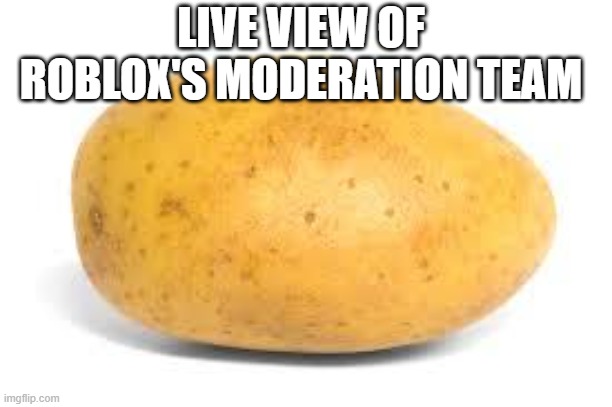 Potato | LIVE VIEW OF ROBLOX'S MODERATION TEAM | image tagged in potato,meme,roblox,live view | made w/ Imgflip meme maker