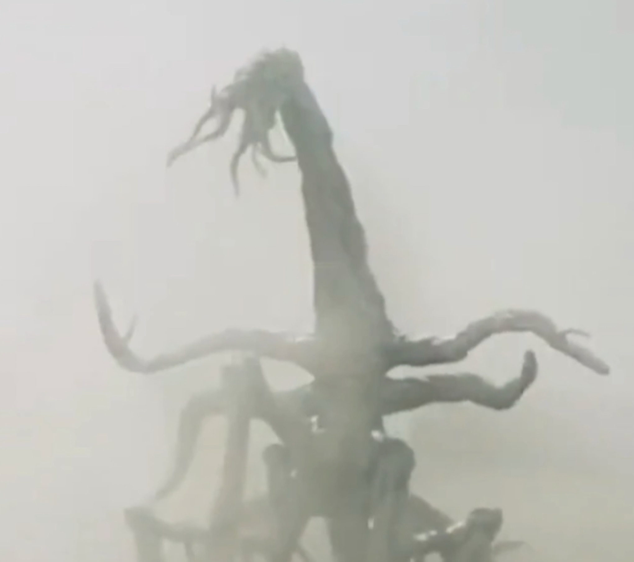 SCP-6017 Blank Meme Template