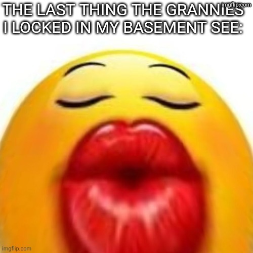 Grandmas in the Basement | image tagged in grandmas in the basement | made w/ Imgflip meme maker