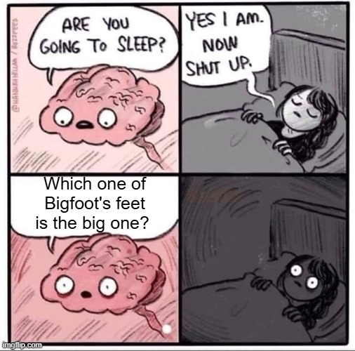 Question | Which one of Bigfoot's feet is the big one? | image tagged in insomnia brain can't sleep blank | made w/ Imgflip meme maker
