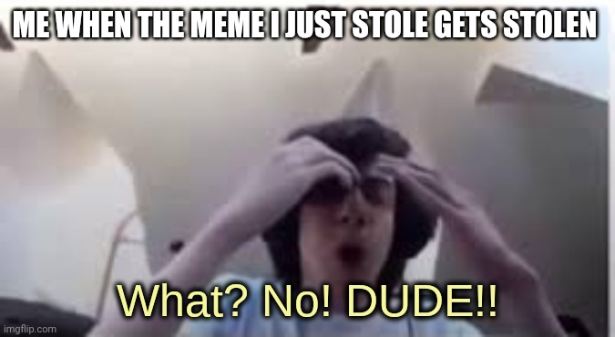 WHAT!?! | ME WHEN THE MEME I JUST STOLE GETS STOLEN | image tagged in what no dude | made w/ Imgflip meme maker