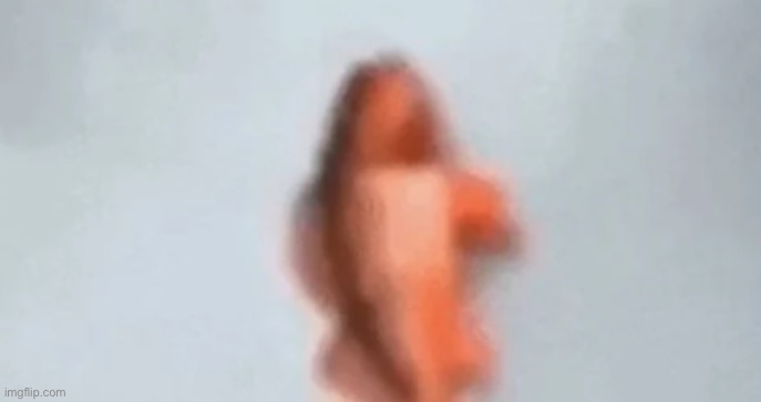 fih | image tagged in fish,msmg | made w/ Imgflip meme maker