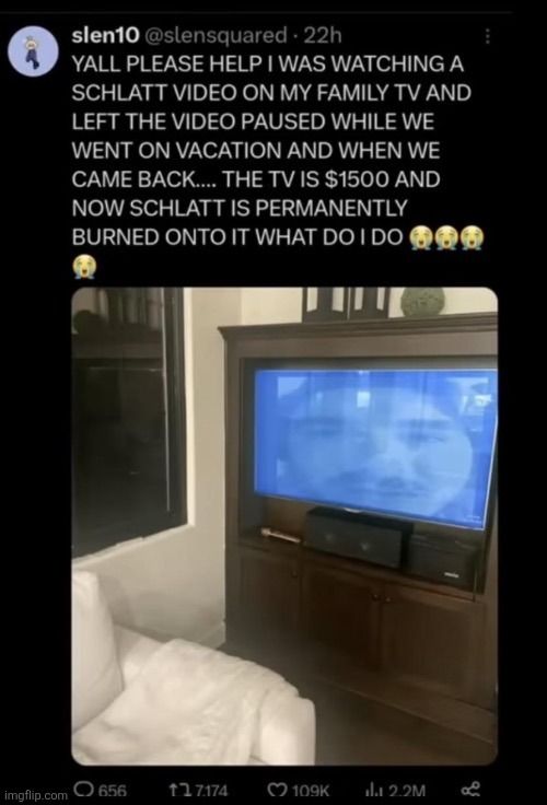 YALL PLEASE HELP I WAS WATCHING A SCHLATT VIDEO ON MY FAMILY TV AND LEFT THE VIDEO PAUSED WHILE WE WENT ON VACATION AND WHEN WE CAME BACK.... THE TV IS $1500 AND NOW SCHLATT IS PERMANENTLY BURNED ONTO IT WHAT DO I DO | made w/ Imgflip meme maker