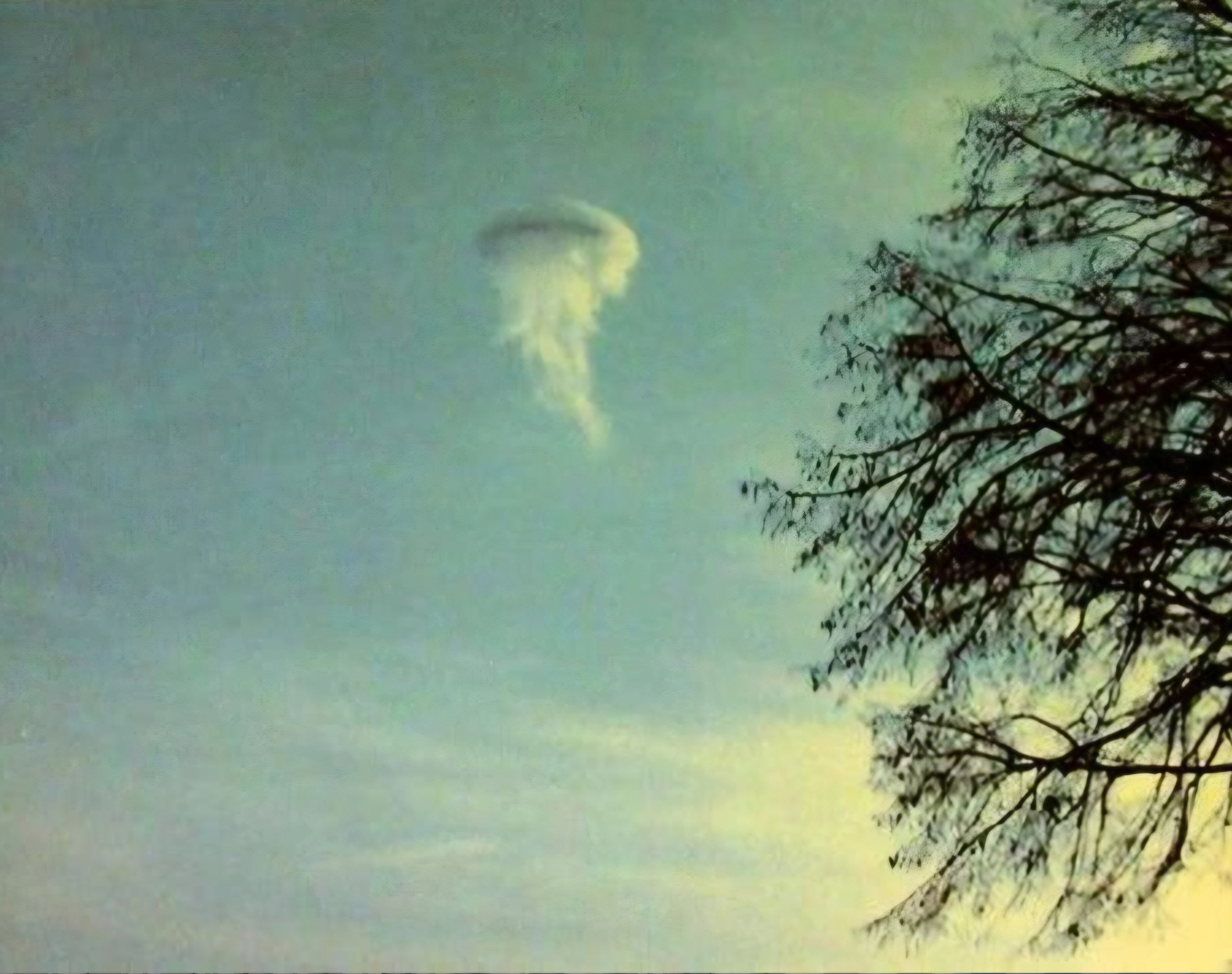 SCP-312 Blank Meme Template