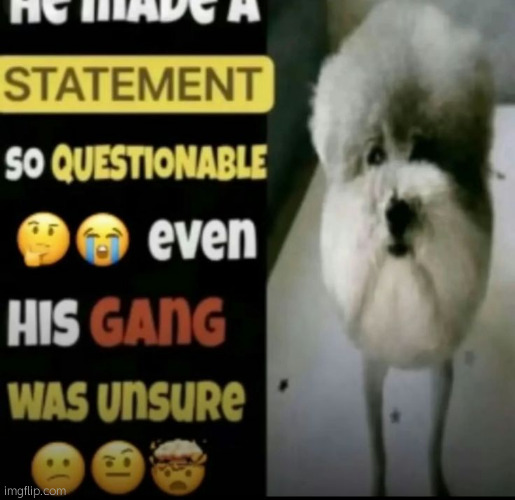 He made a statement so questionable | image tagged in he made a statement so questionable | made w/ Imgflip meme maker