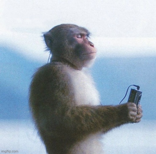 monke music | image tagged in monke music | made w/ Imgflip meme maker