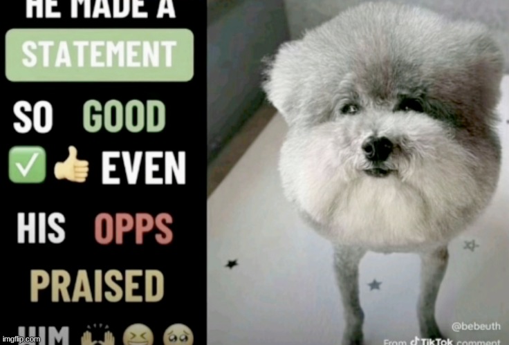 He made a statement so good even his opps praised him | image tagged in he made a statement so good even his opps praised him | made w/ Imgflip meme maker