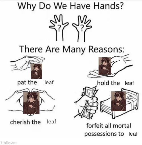 Leaf OUR beloved | leaf; leaf; leaf; leaf | image tagged in why do we have hands all blank | made w/ Imgflip meme maker