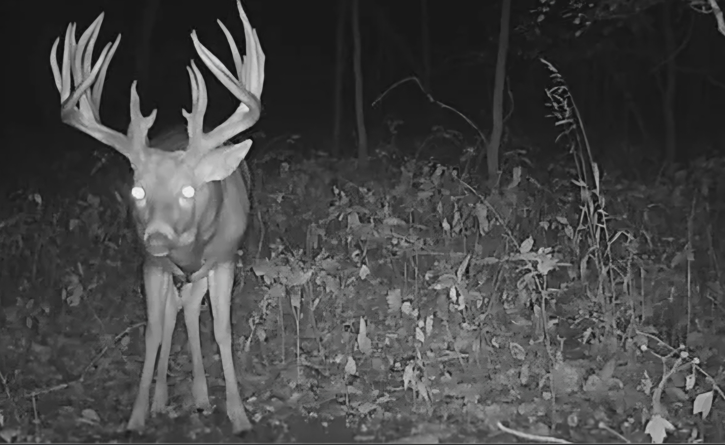 SCP-469 Blank Meme Template