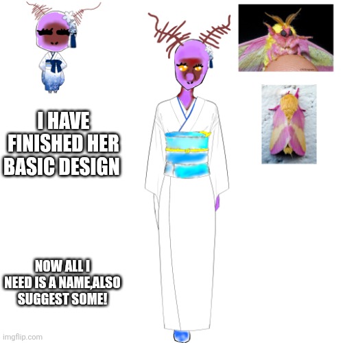 New fursona needs a name | I HAVE FINISHED HER BASIC DESIGN; NOW ALL I NEED IS A NAME,ALSO SUGGEST SOME! | image tagged in furries,the furry fandom | made w/ Imgflip meme maker