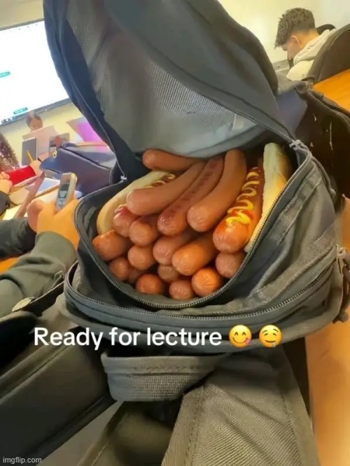 hotdog backpack | image tagged in what | made w/ Imgflip meme maker