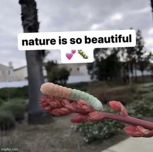 nature | image tagged in what | made w/ Imgflip meme maker