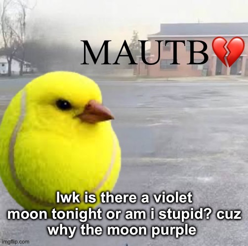 Mods Asleep, Upvote Tennis Bird | Iwk is there a violet moon tonight or am i stupid? cuz
why the moon purple | image tagged in mods asleep upvote tennis bird | made w/ Imgflip meme maker