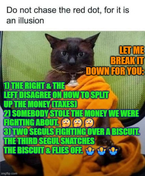 Somali daycares fraud in Minnesota | LET ME BREAK IT DOWN FOR YOU:; 1) THE RIGHT & THE LEFT DISAGREE ON HOW TO SPLIT UP THE MONEY (TAXES)
2) SOMEBODY STOLE THE MONEY WE WERE FIGHTING ABOUT. 🤔🤔🤔
3) TWO SEGULS FIGHTING OVER A BISCUIT. 
THE THIRD SEGUL SNATCHES THE BISCUIT & FLIES OFF. 🤷‍♂️🤷‍♂️🤷‍♂️ | image tagged in income taxes,money,fraud,tax subsidies,accountability,minnesota | made w/ Imgflip meme maker