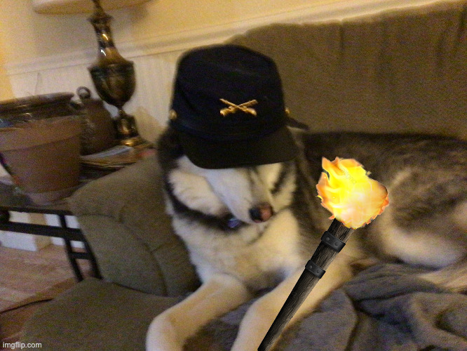 image tagged in union husky | made w/ Imgflip meme maker