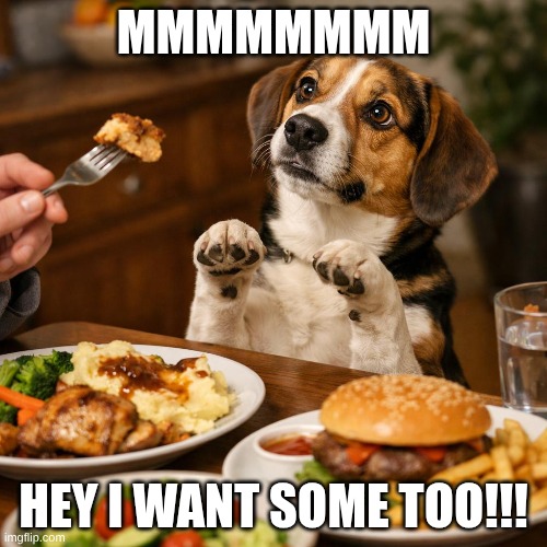 MMMMMMMM; HEY I WANT SOME TOO!!! | made w/ Imgflip meme maker